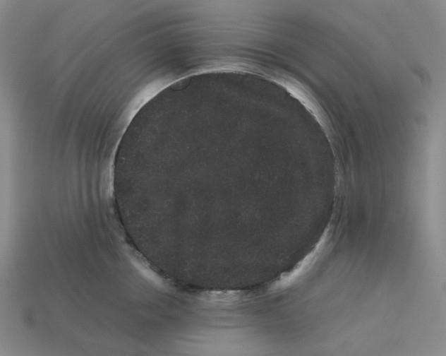 X0000113260858200910011406