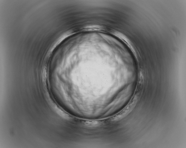 X0000113260859200910011406