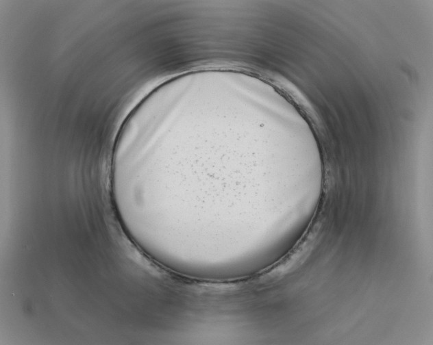 X0000113260860200910011406