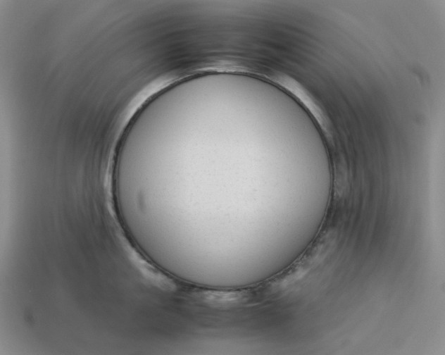 X0000113260861200910011406