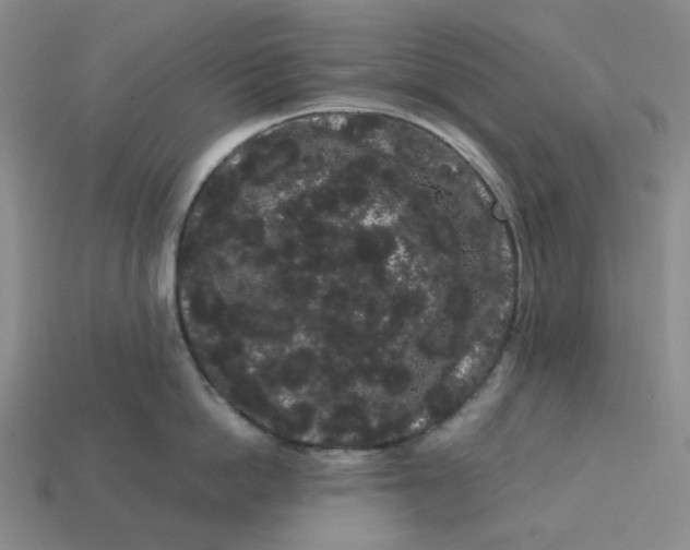 X0000113260862200910011406