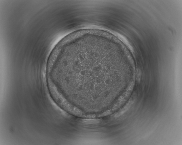 X0000113260863200910011406