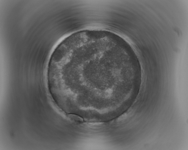 X0000113260864200910011406