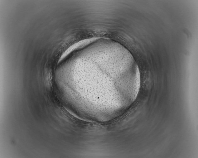 X0000113260866200910011405