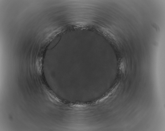 X0000113260868200910011405