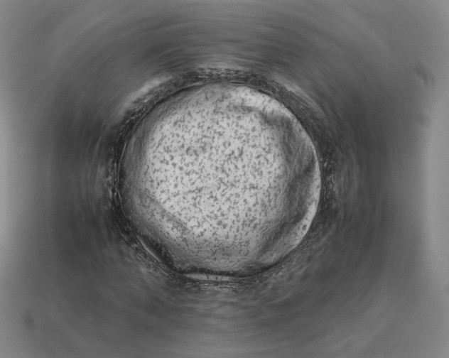 X0000113260870200910011405