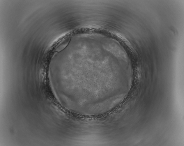 X0000113260872200910011405