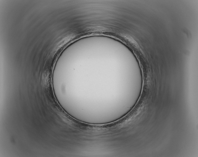 X0000113260873200910011405