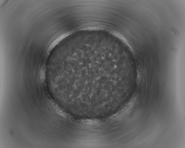 X0000113260874200910011405