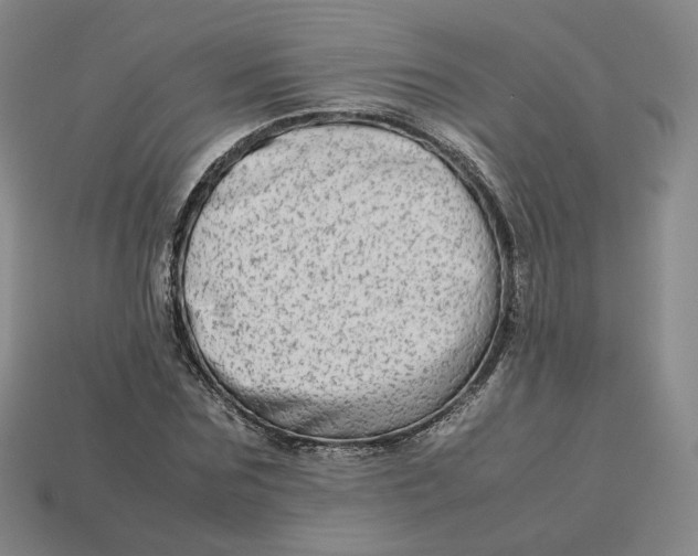 X0000113260875200910011405