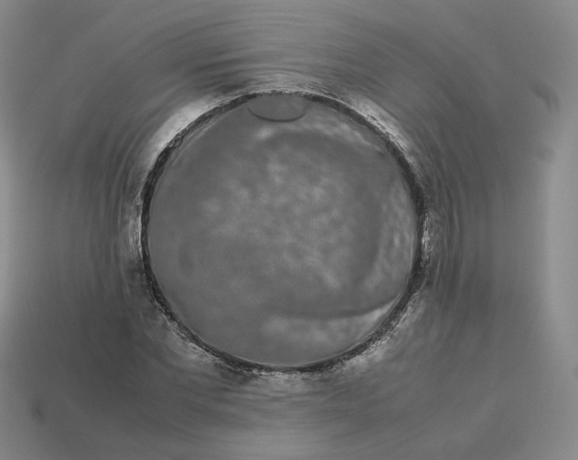 X0000113260877200910011405