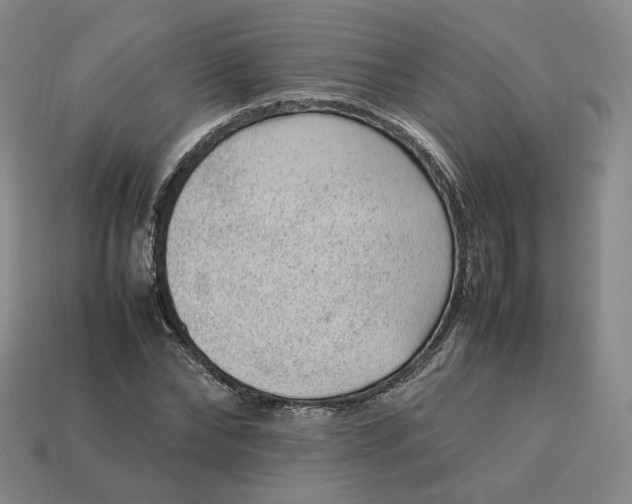 X0000113260878200910011405