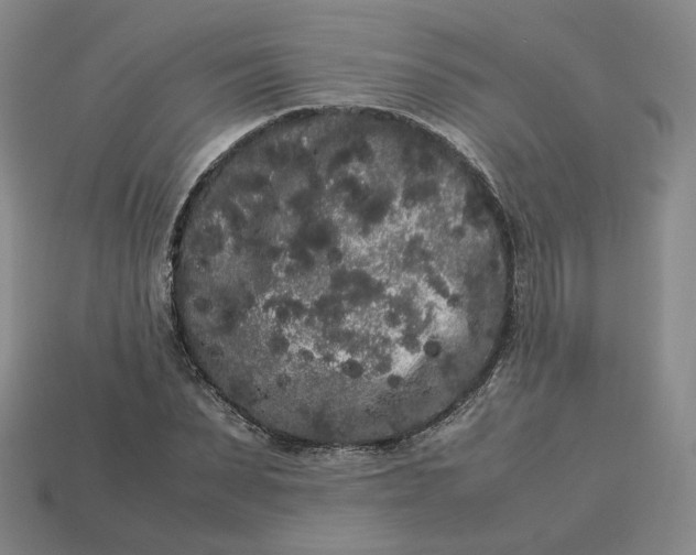 X0000113260879200910011405