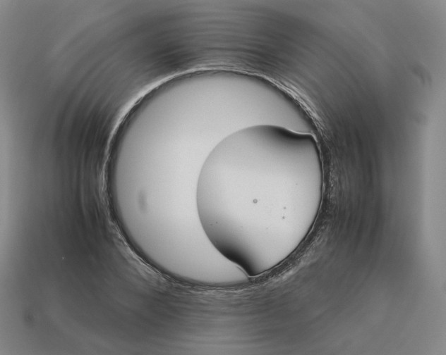 X0000113260880200910011405