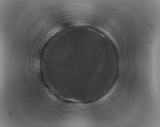 X0000113260881200910011405