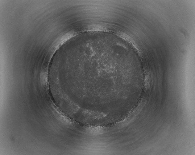 X0000113260882200910011405