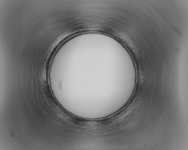 X0000113260883200910011405