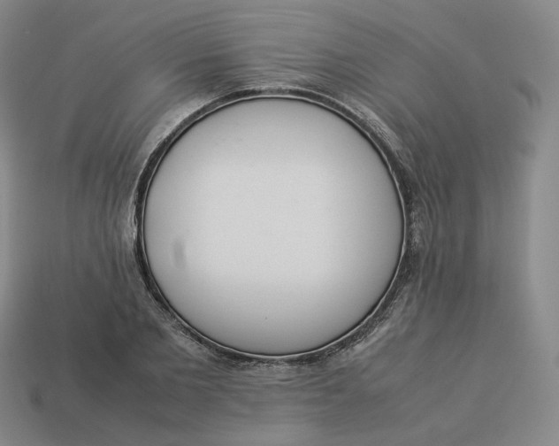 X0000113260885200910011405