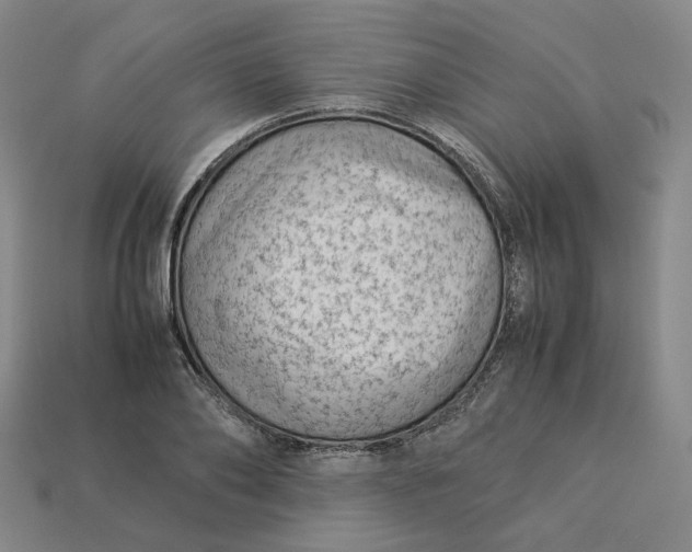 X0000113260886200910011405