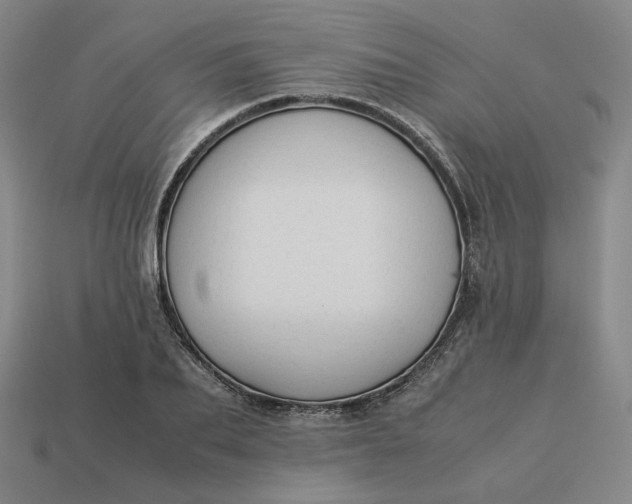 X0000113260887200910011405