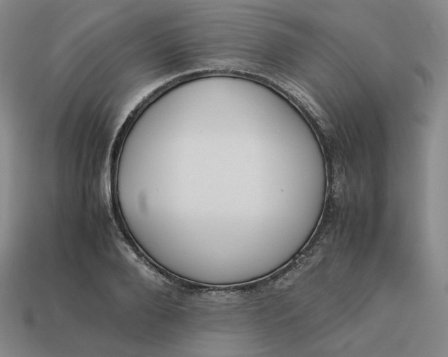 X0000113260888200910011405