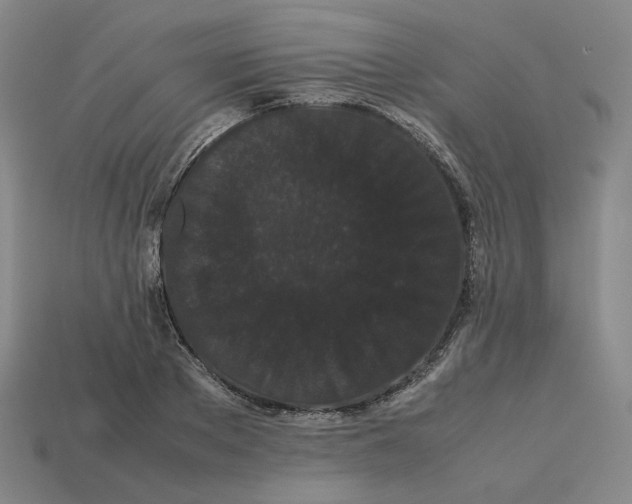 X0000113260889200910011405