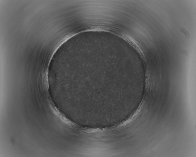 X0000113260892200910011405