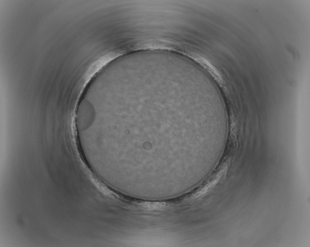 X0000113260893200910011405