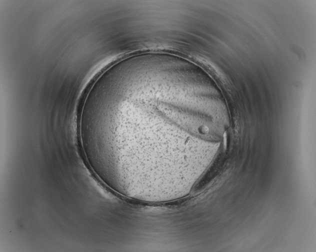 X0000113260894200910011405