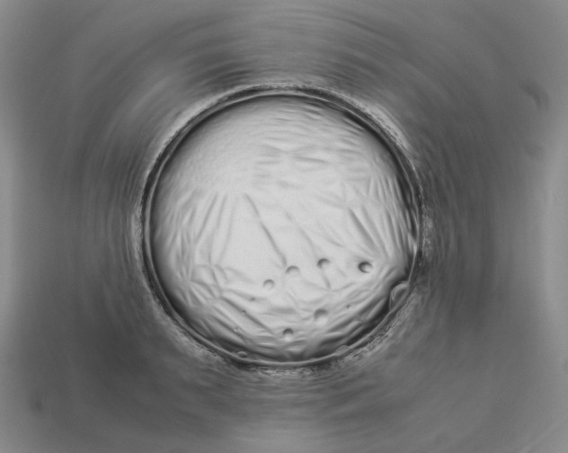 X0000113260895200910011405