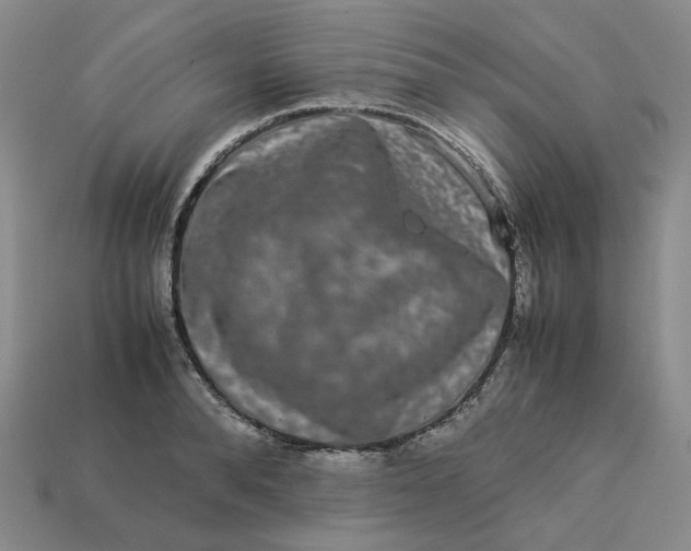 X0000113260896200910011405