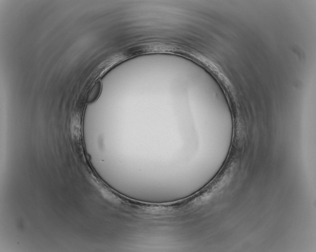 X0000113260897200910011405