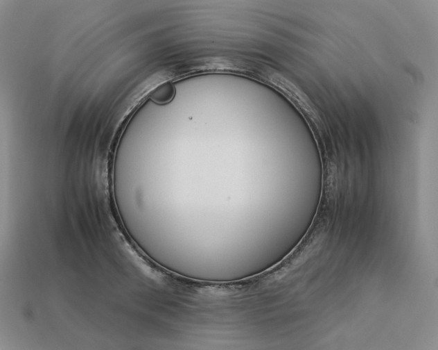 X0000113260898200910011405