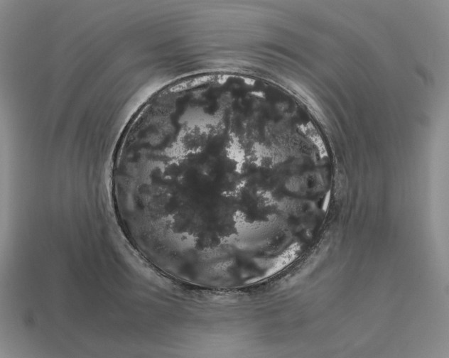 X0000113260899200910011405