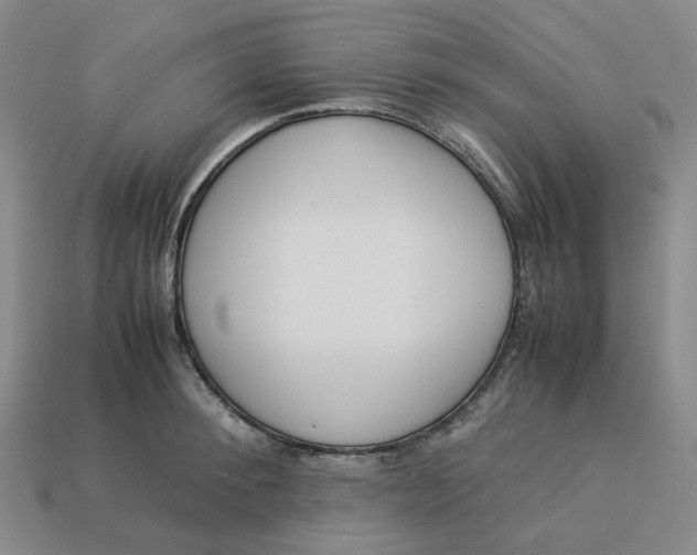 X0000113260900200910011405