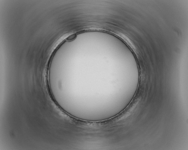 X0000113260901200910011405