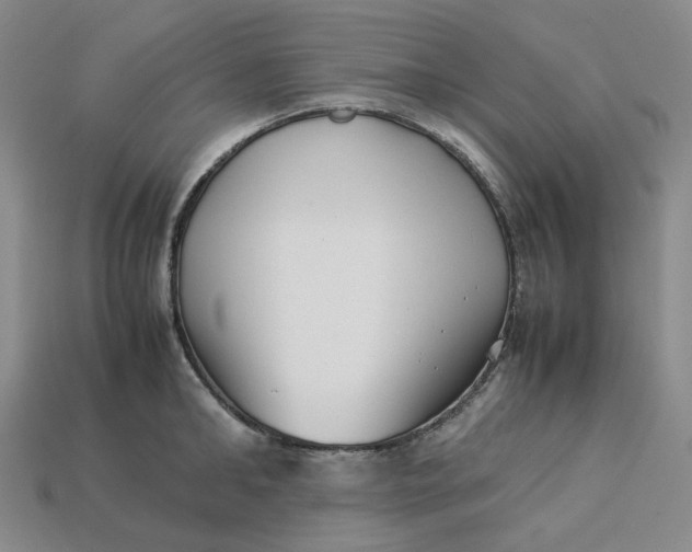 X0000113260902200910011405