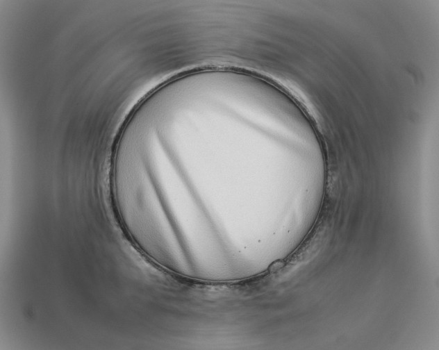 X0000113260903200910011405