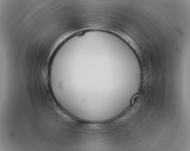 X0000113260904200910011405