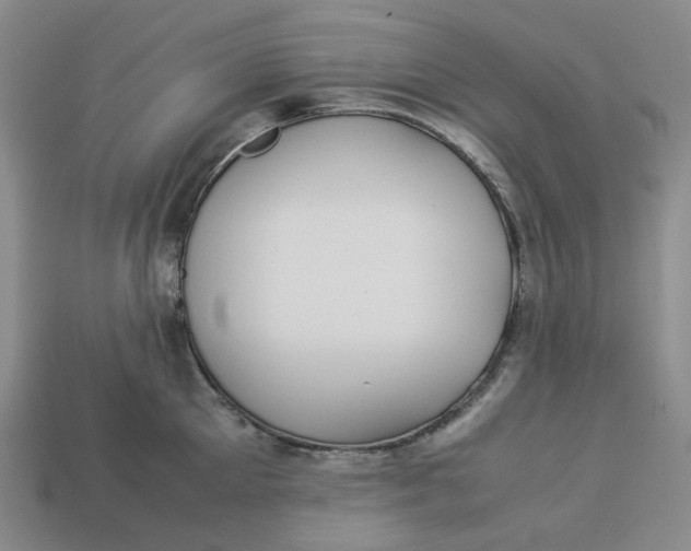 X0000113260905200910011405