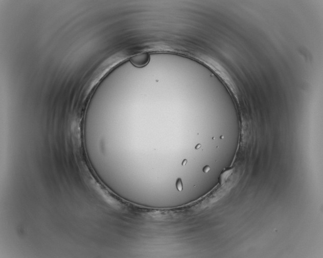 X0000113260906200910011405