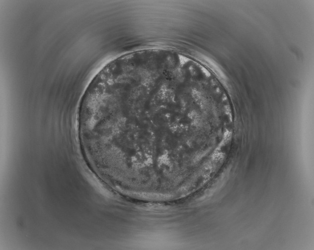 X0000113260907200910011405