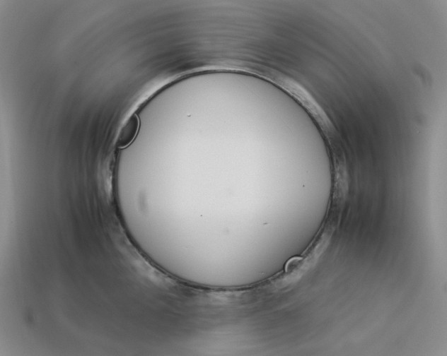 X0000113260908200910011405