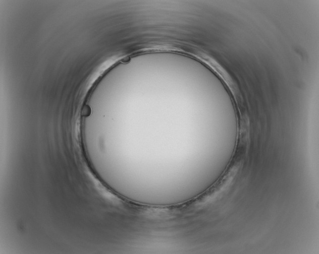 X0000113260909200910011405