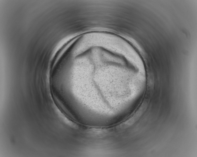 X0000113260910200910011405