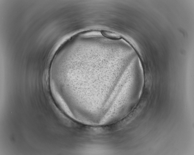 X0000113260911200910011405