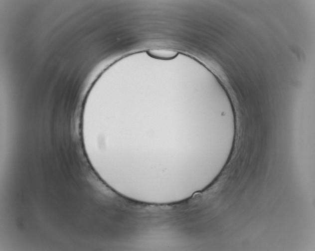 X0000113260912200910011405