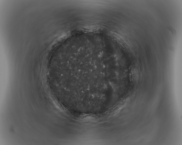 X0000113260913200910011404