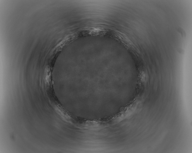 X0000113260914200910011404