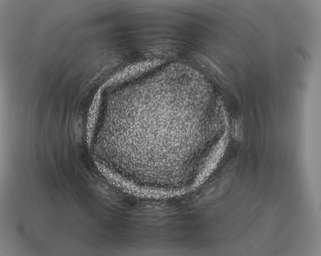 X0000113260915200910011404